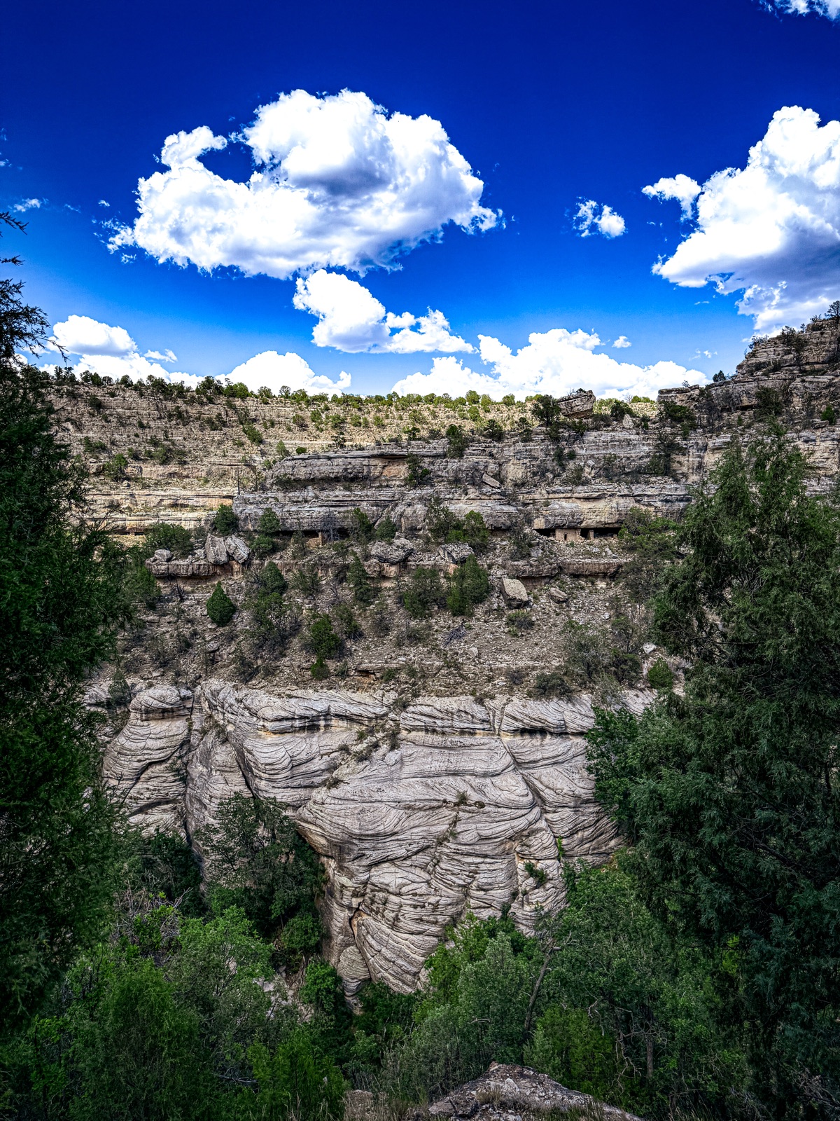 WAEA 2026 Annual Meeting, Flagstaff, Arizona — photo 17